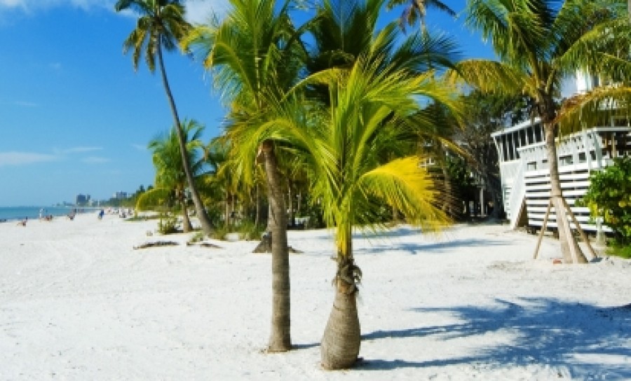 Car Hire South Beach Florida Car Hire South Beach Florida